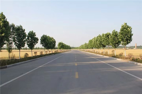 鄒城市香城鎮(zhèn)2020年農(nóng)村道路“三年集中攻堅(jiān)”專項(xiàng)行動(dòng)路網(wǎng)提檔升級(jí)工程施工